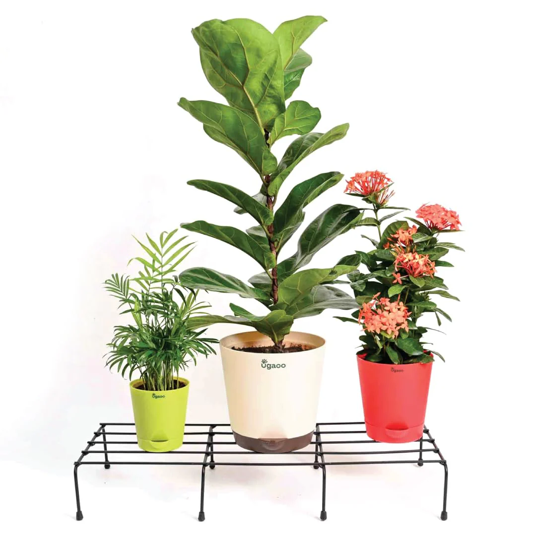 Garden Plants Stand ( Set of 4 ) - Image 2