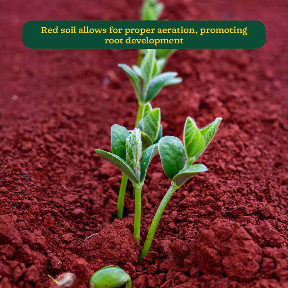 Garden Red Soil - Image 4