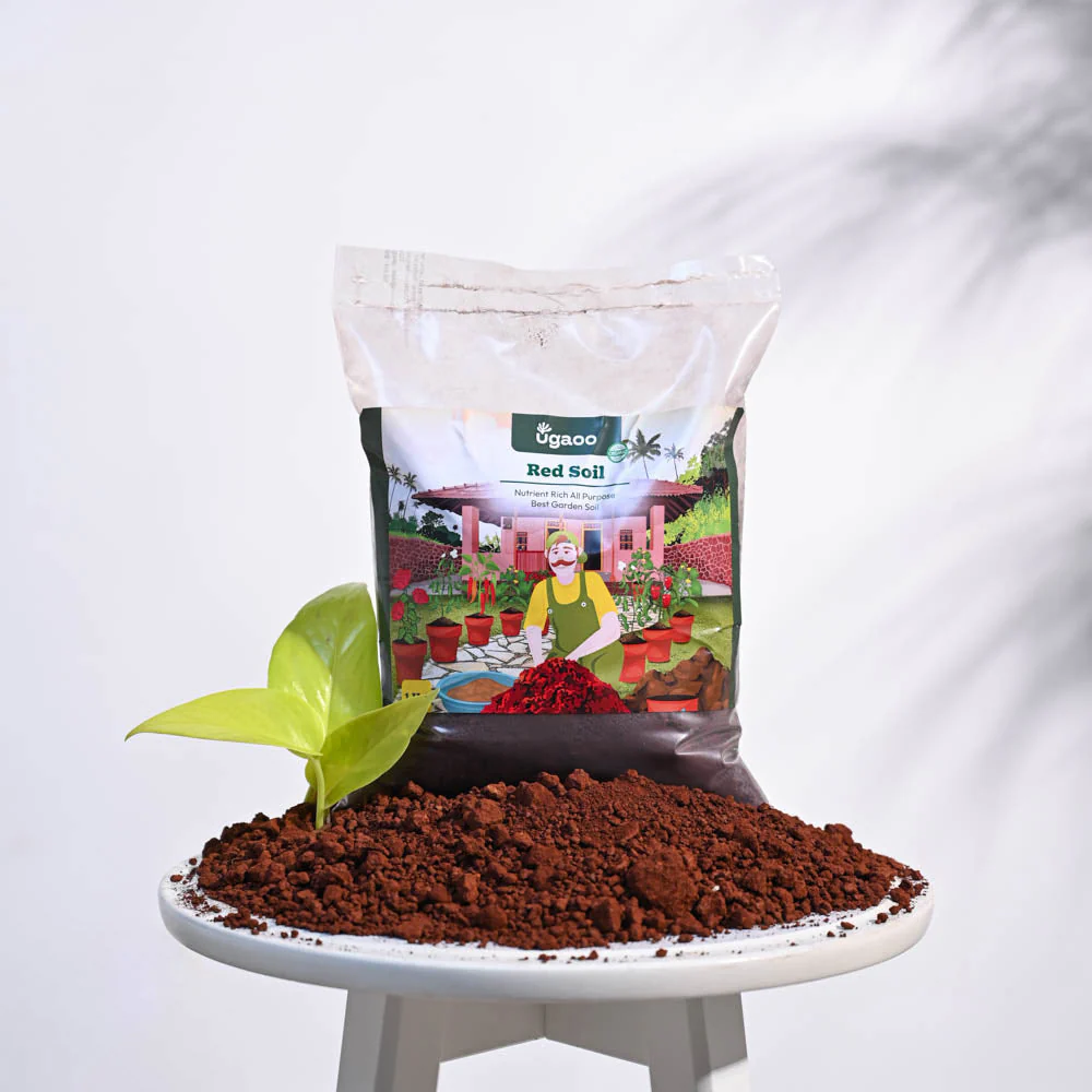 Garden Red Soil - Image 6