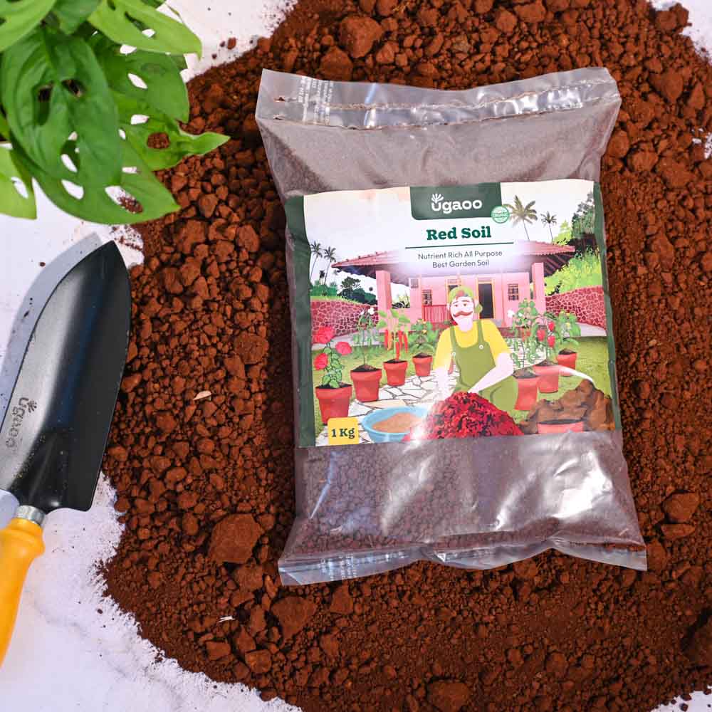 Garden Red Soil - Image 7