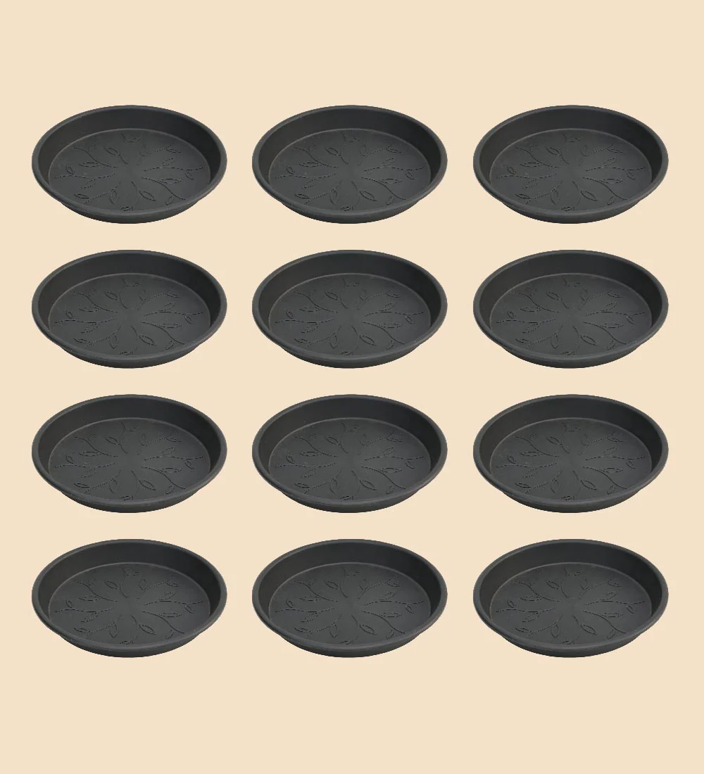 Gardening Plates - Black - Image 23