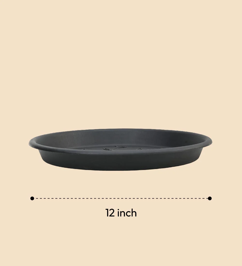 Gardening Plates - Black - Image 24