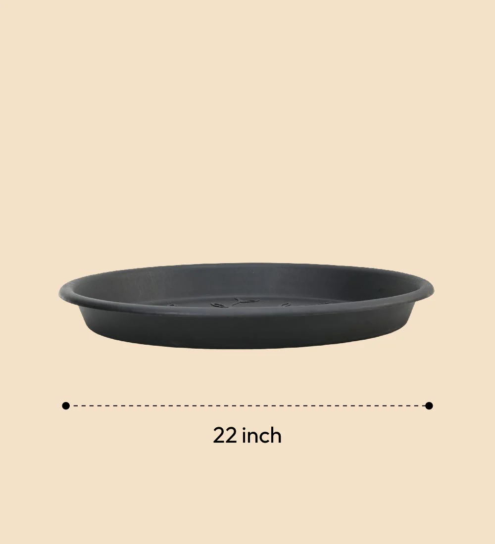 Gardening Plates - Black - Image 34