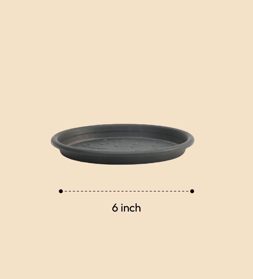 Gardening Plates - Black - Image 6