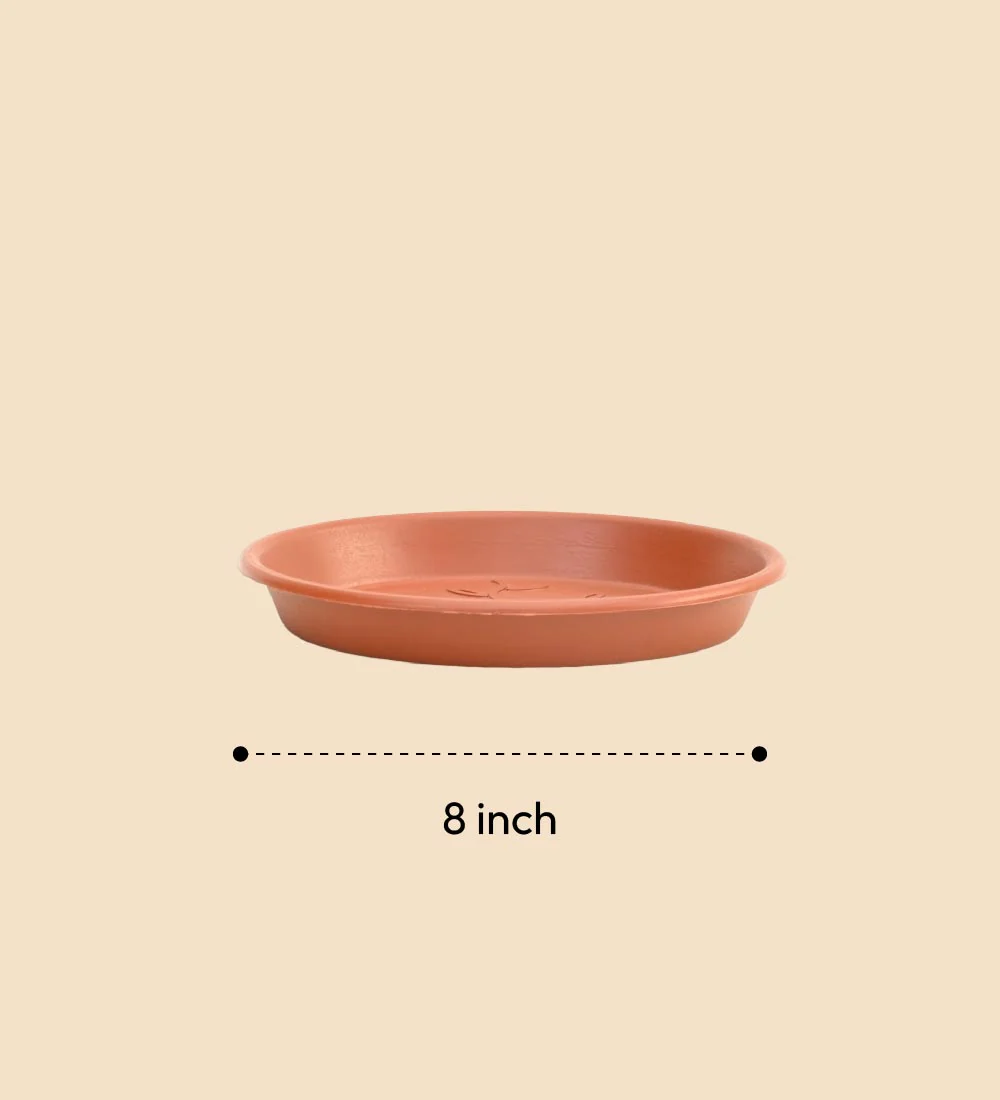 Gardening Plates - Terracotta Color - Image 10