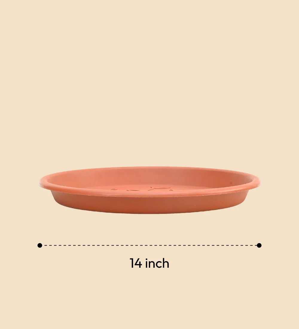 Gardening Plates - Terracotta Color - Image 26