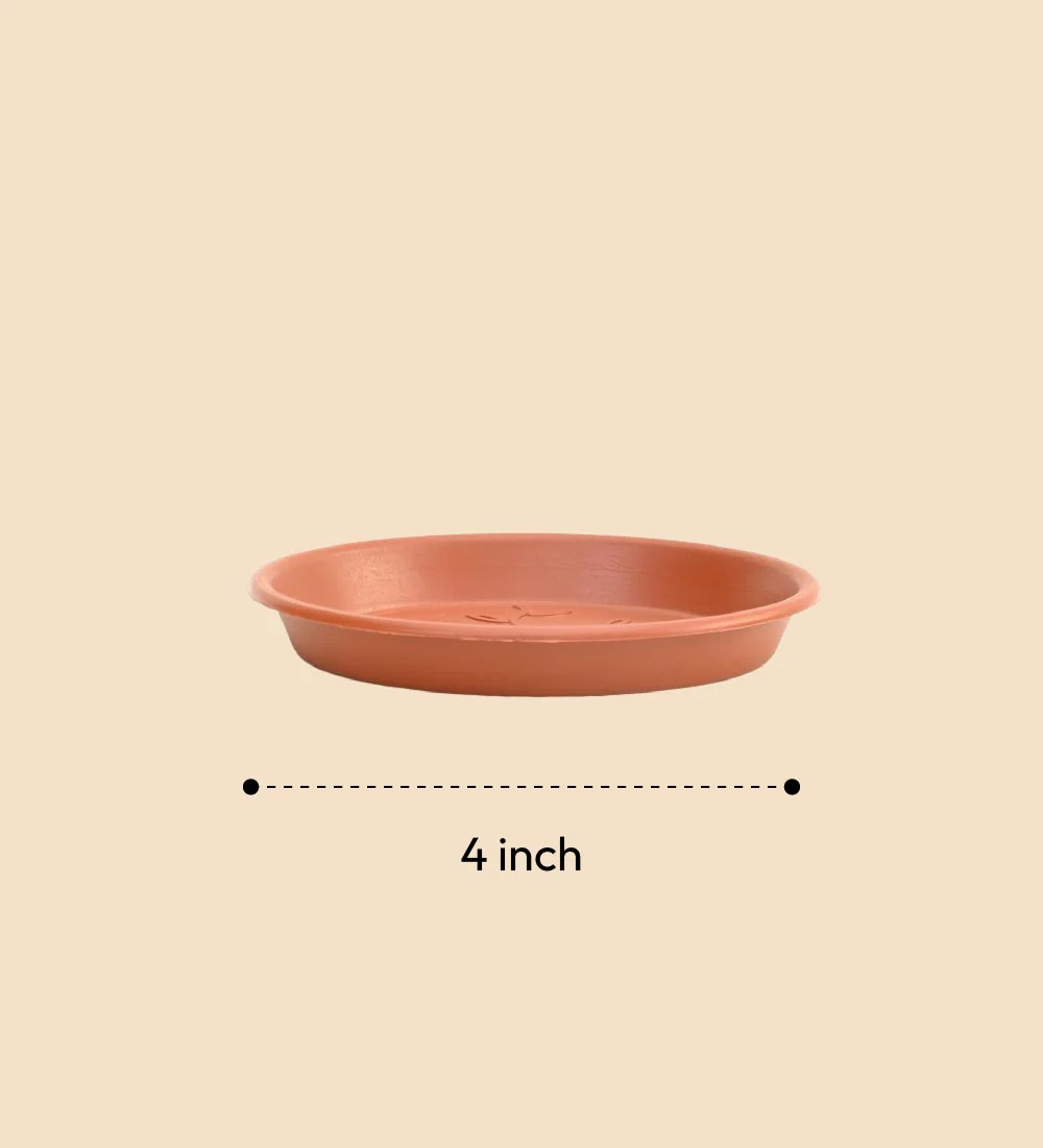 Gardening Plates - Terracotta Color - Image 4