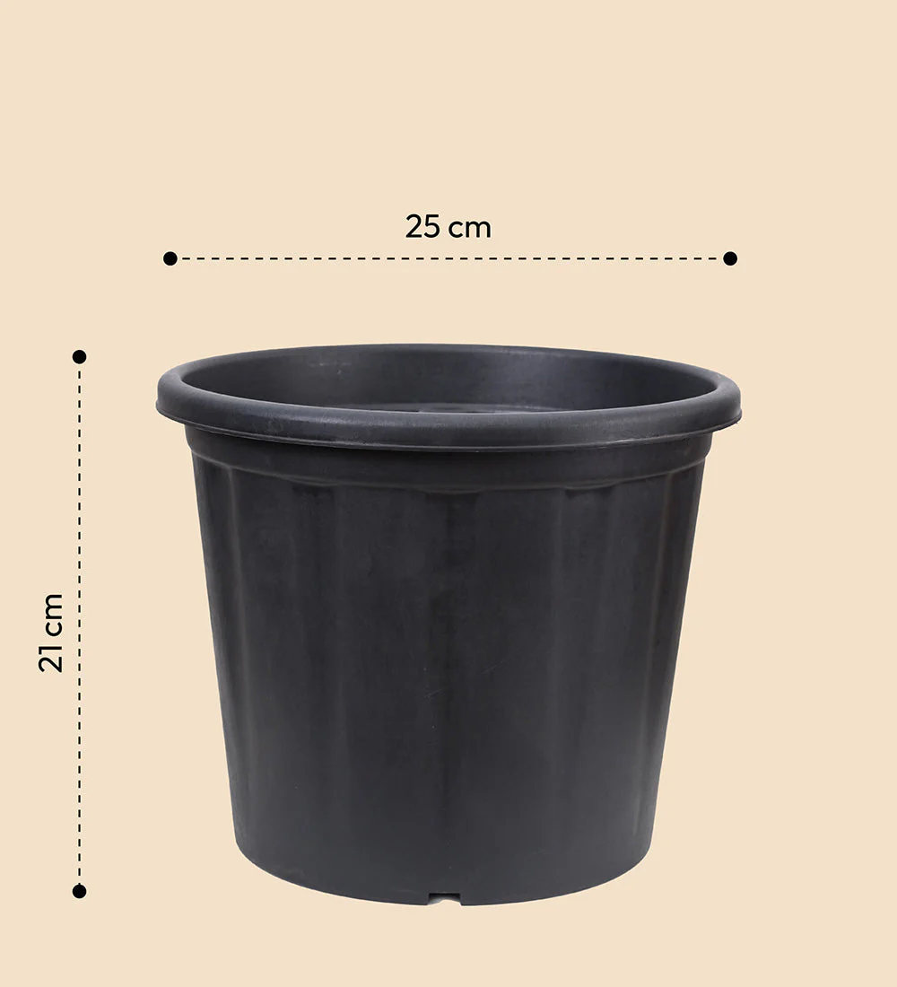 Gardening Pots - Black - Image 20