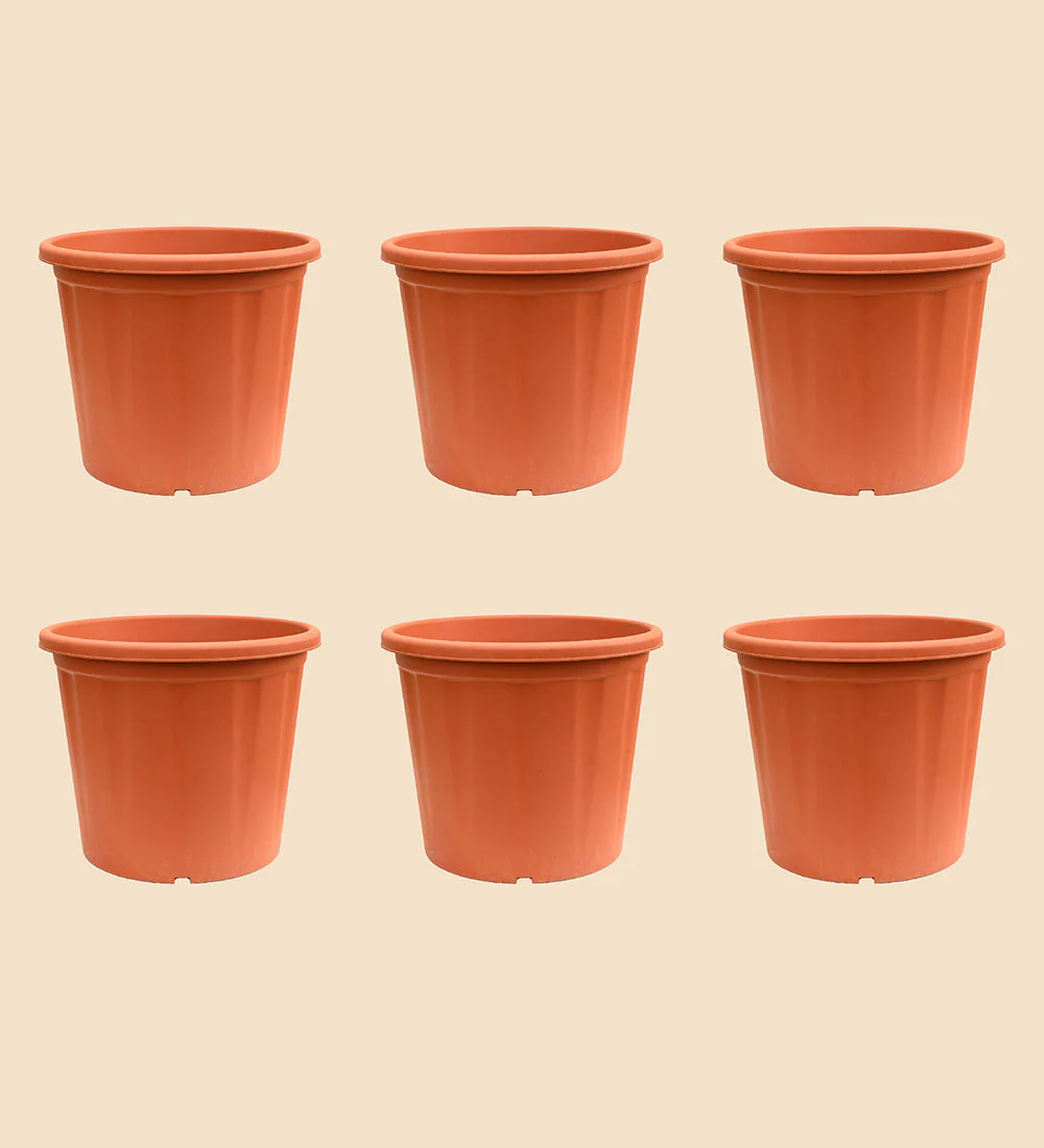 Gardening Pots - Terracotta Color - Image 17
