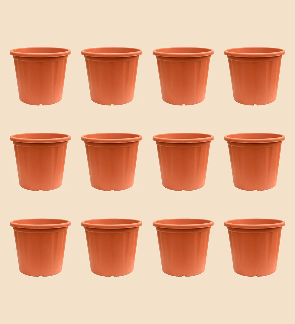 Gardening Pots - Terracotta Color - Image 25