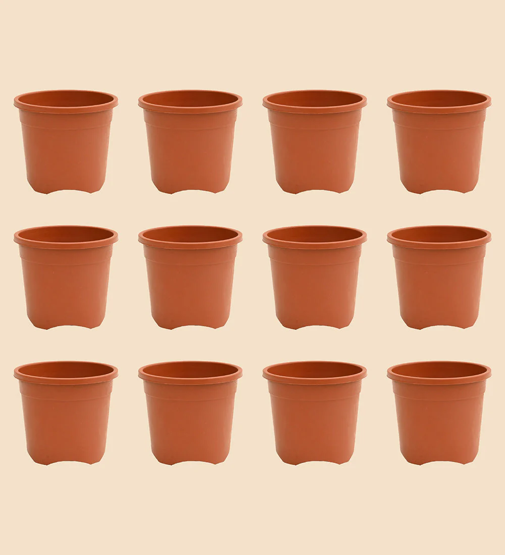 Gardening Pots - Terracotta Color - Image 3