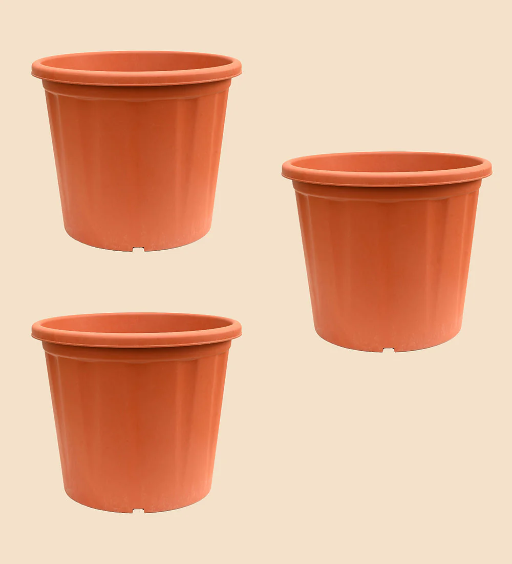 Gardening Pots - Terracotta Color - Image 31