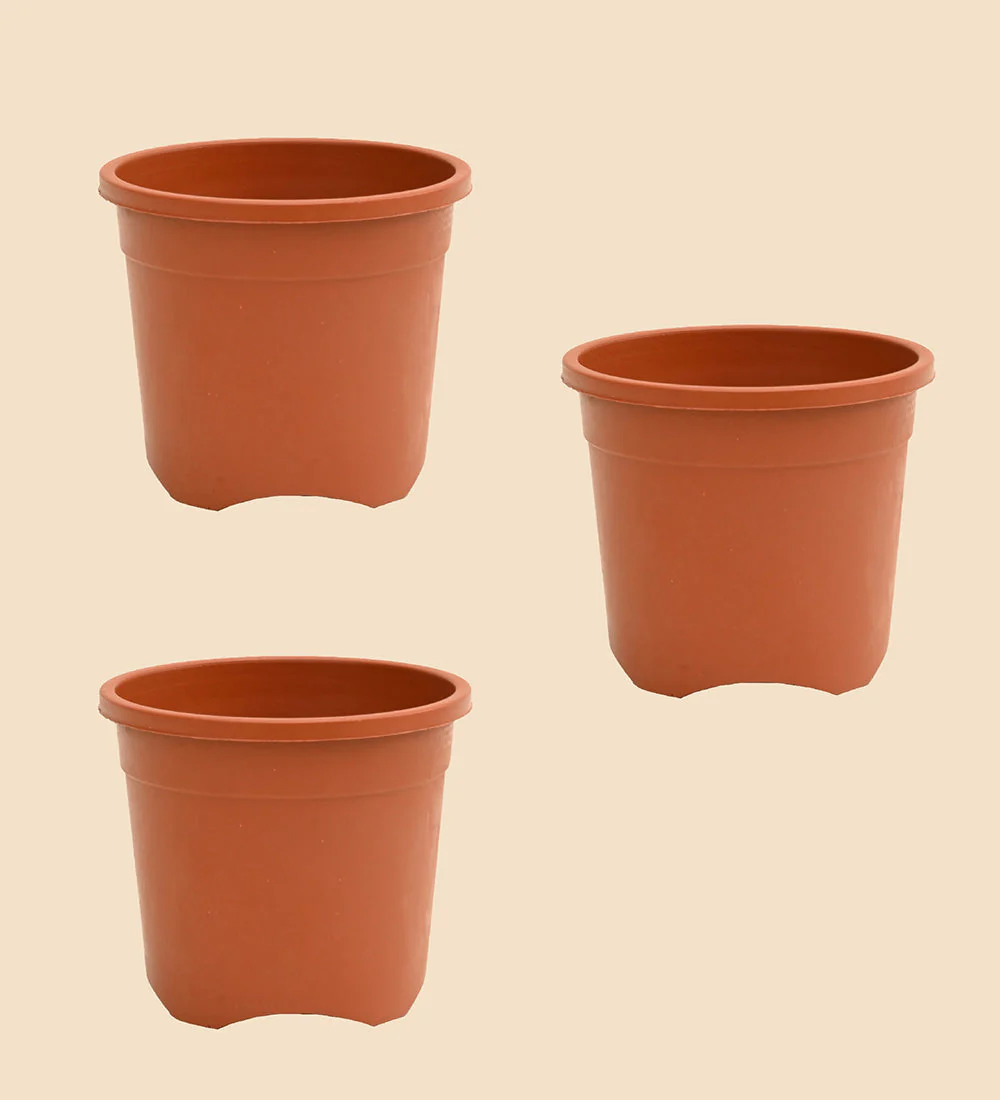 Gardening Pots - Terracotta Color - Image 9