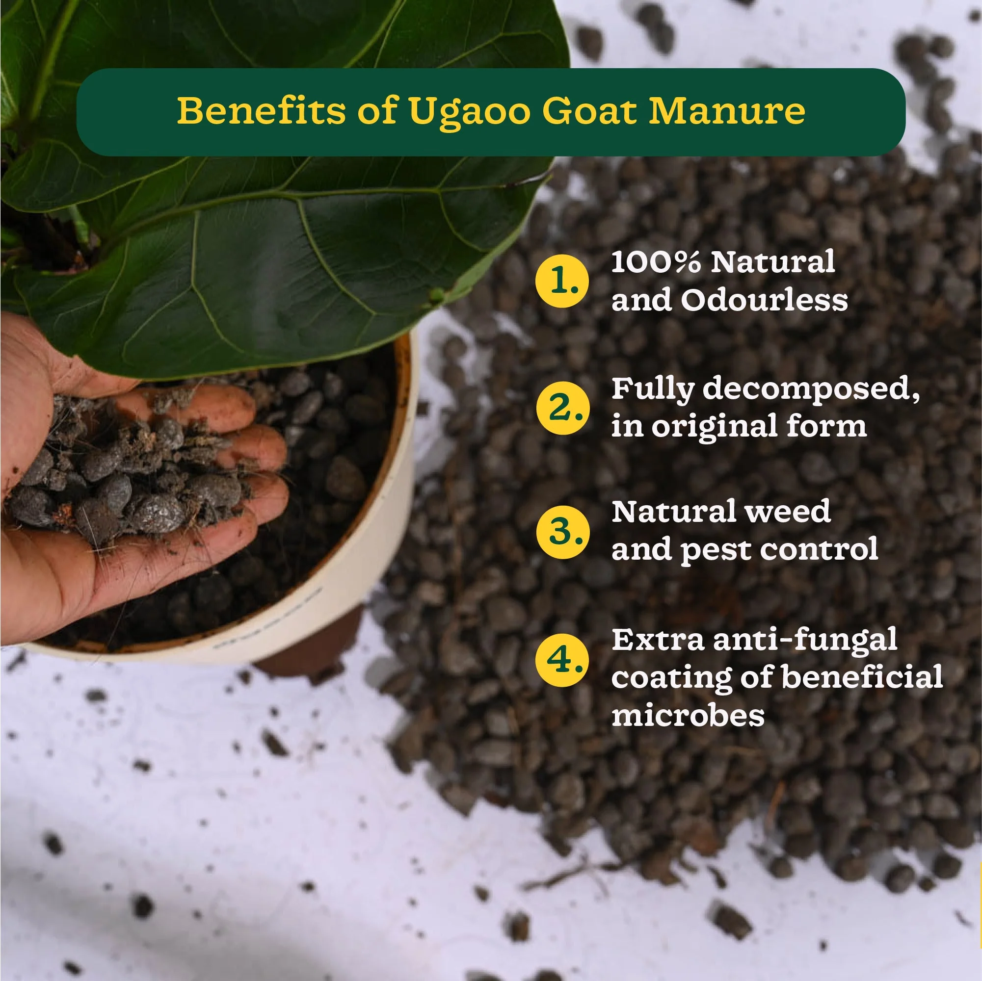 Goat Manure 1 Kg - Image 3