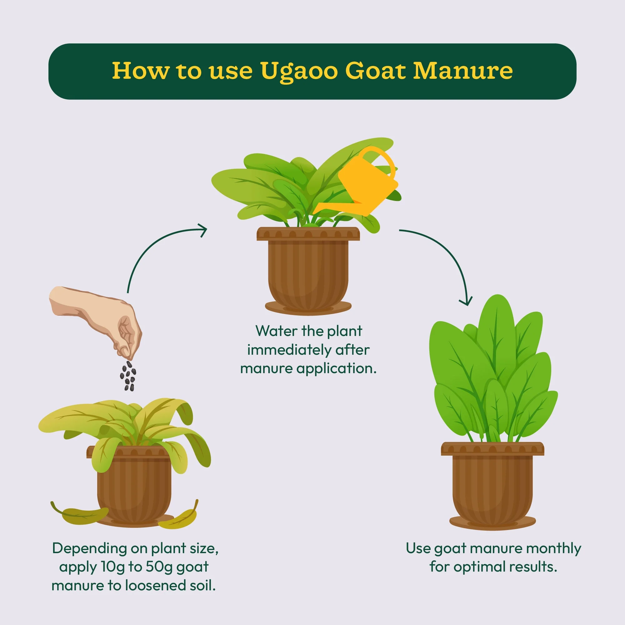 Goat Manure 1 Kg - Image 4
