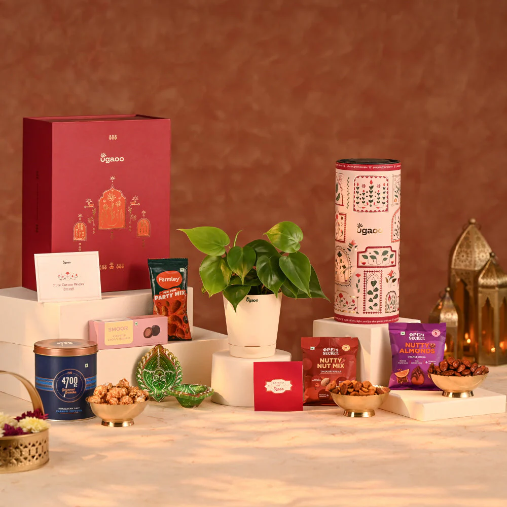 Lush Treat - Corporate Diwali Plant Gift Hamper
