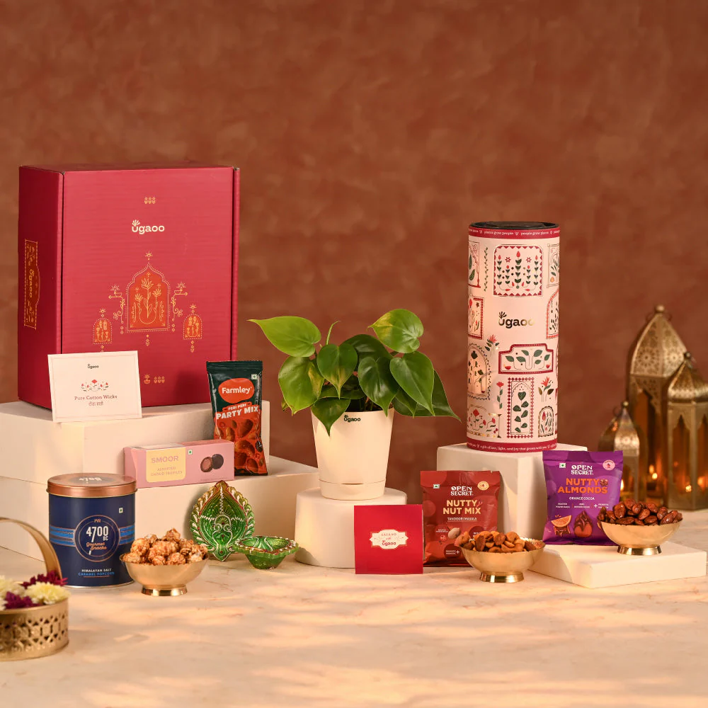 Lush Treat - Corporate Diwali Plant Gift Hamper - Image 13