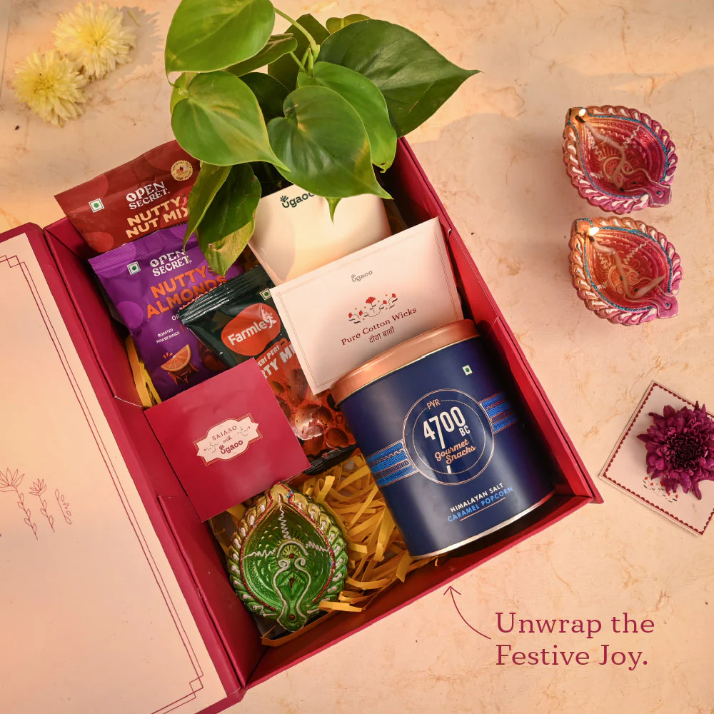 Lush Treat - Corporate Diwali Plant Gift Hamper - Image 3