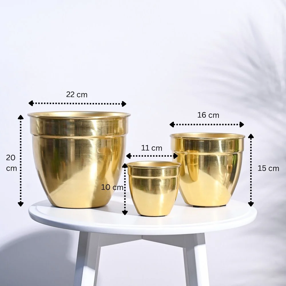 Golden Opulence Planter - Image 3