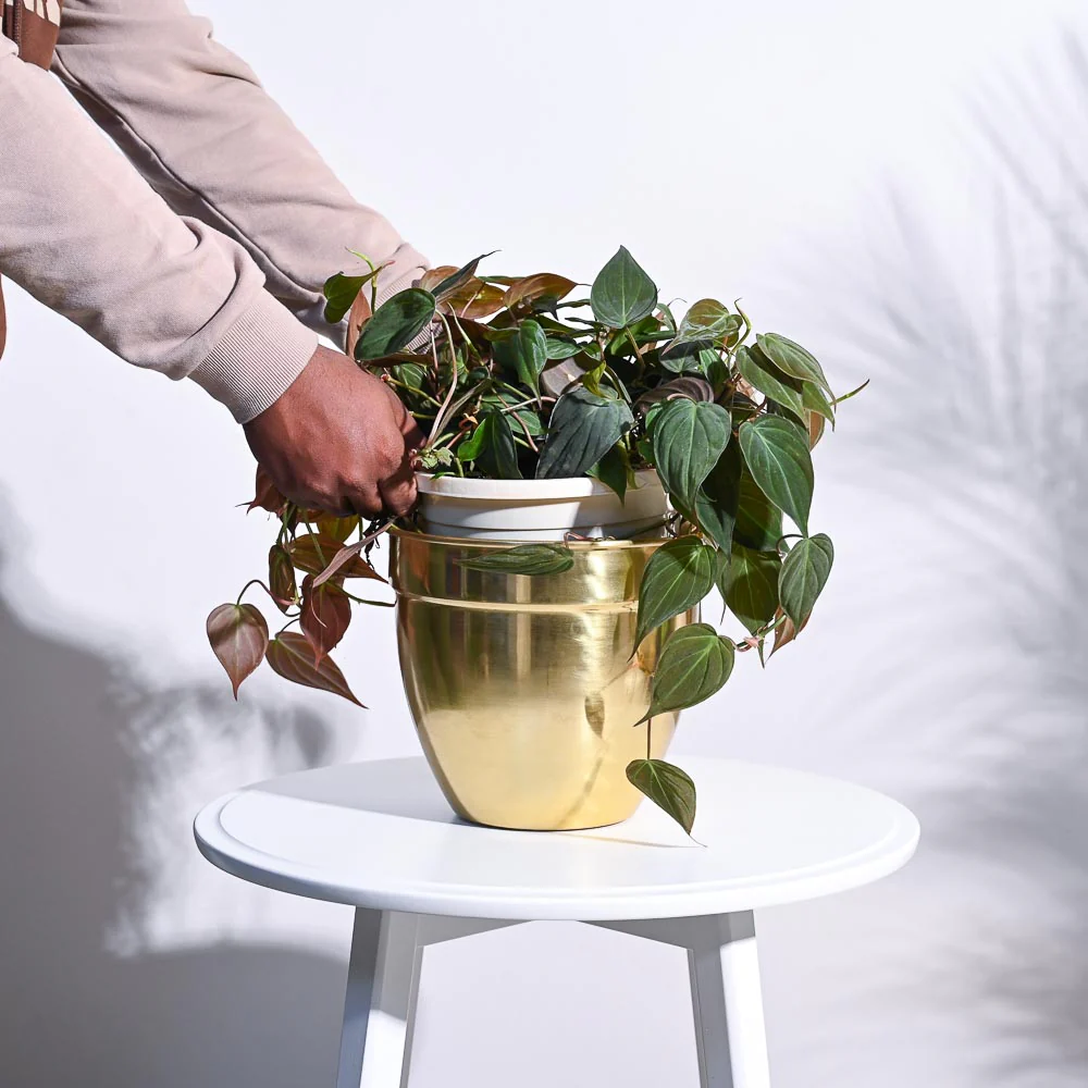 Golden Opulence Planter - Image 6