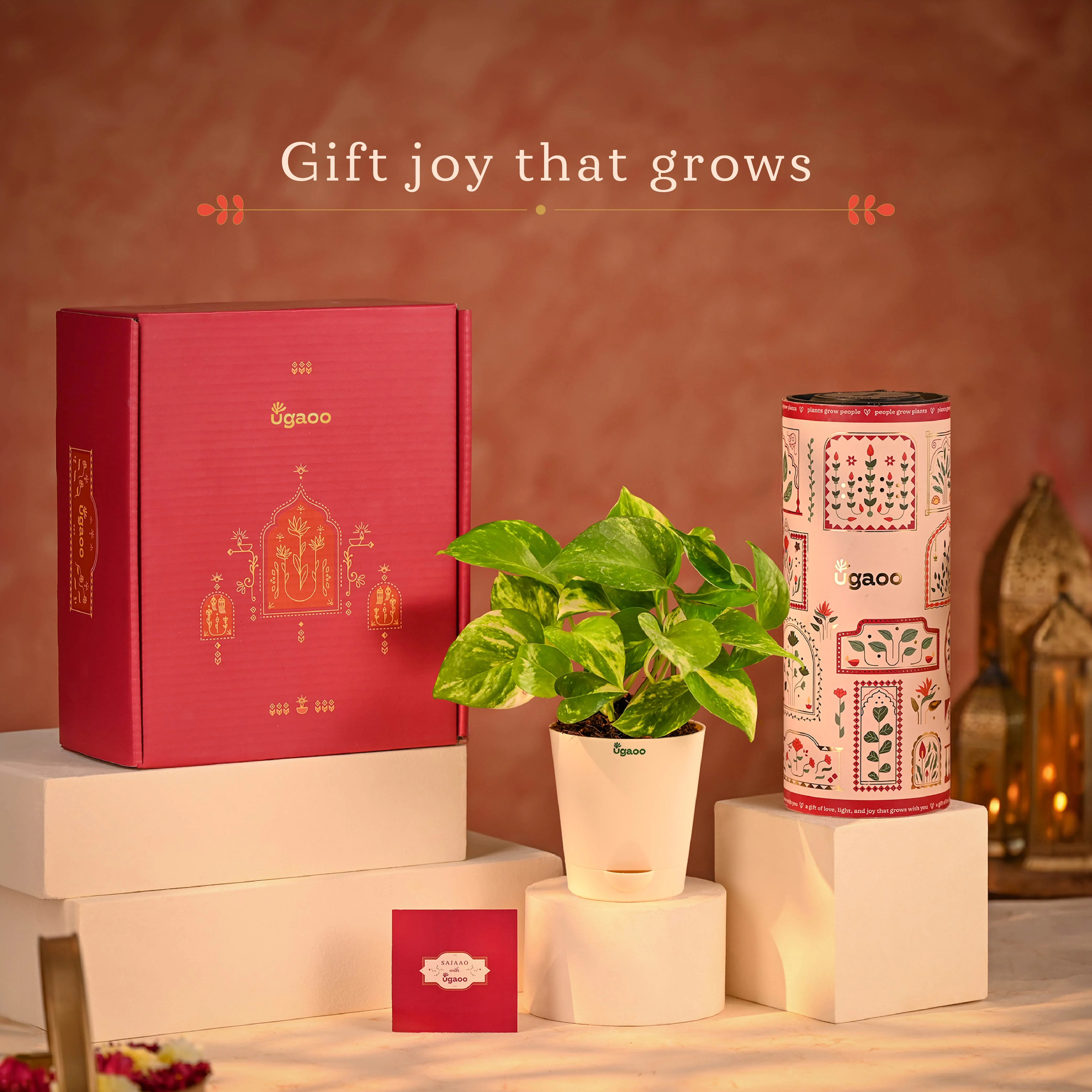Golden Prosperity Diwali Hamper - Image 14