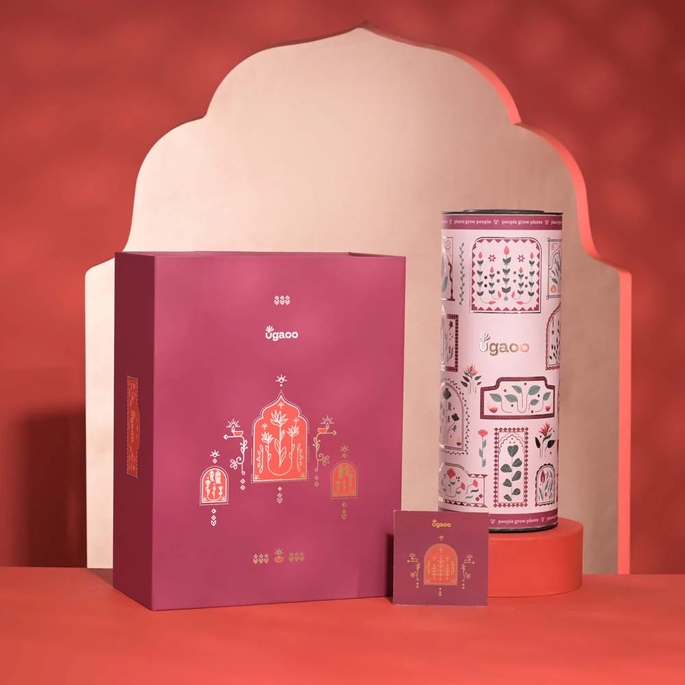 Good Vibes Diwali Gift Hamper - Image 7