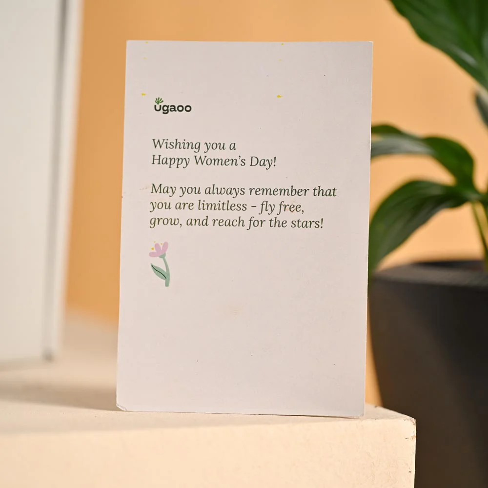 Grace & Growth – Women’s Day Plant & Chocolate Hamper - Image 5