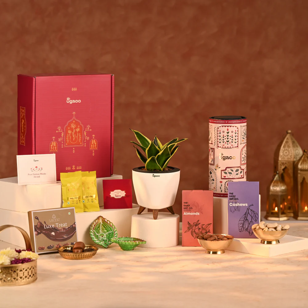 Grace in Gold - Corporate Diwali Gift - Image 12