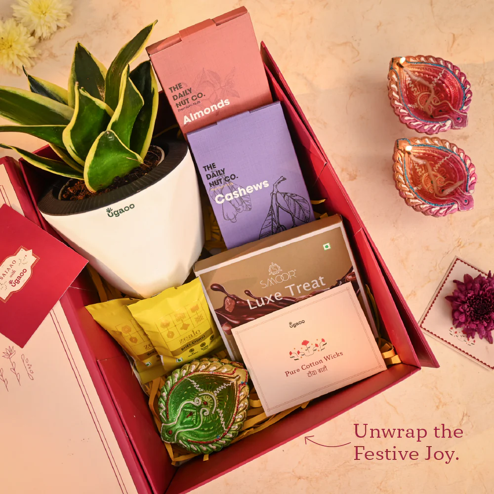 Grace in Gold - Corporate Diwali Gift - Image 14