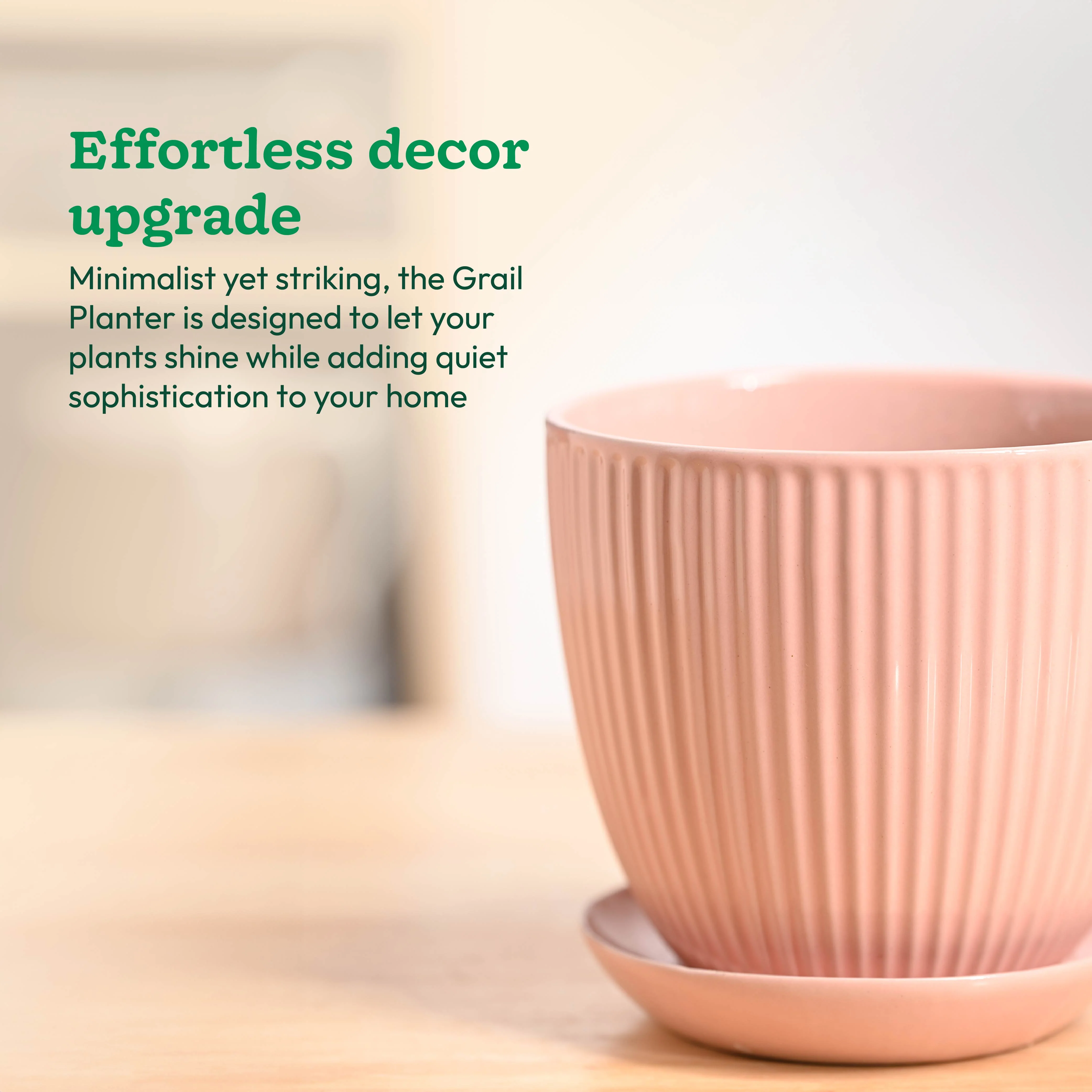 Grail Ceramic Pot - Image 32