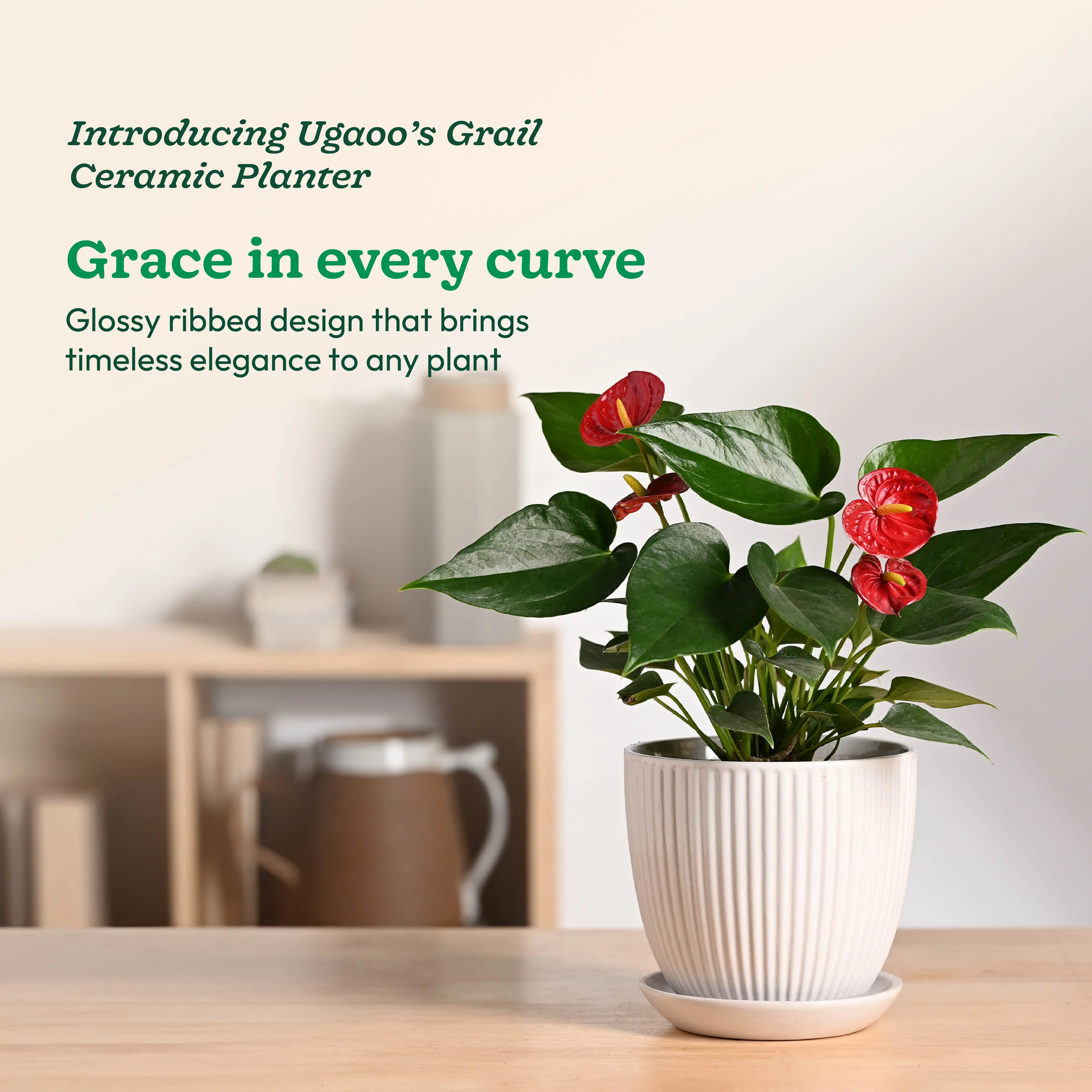 Grail Ceramic Pot - Image 9