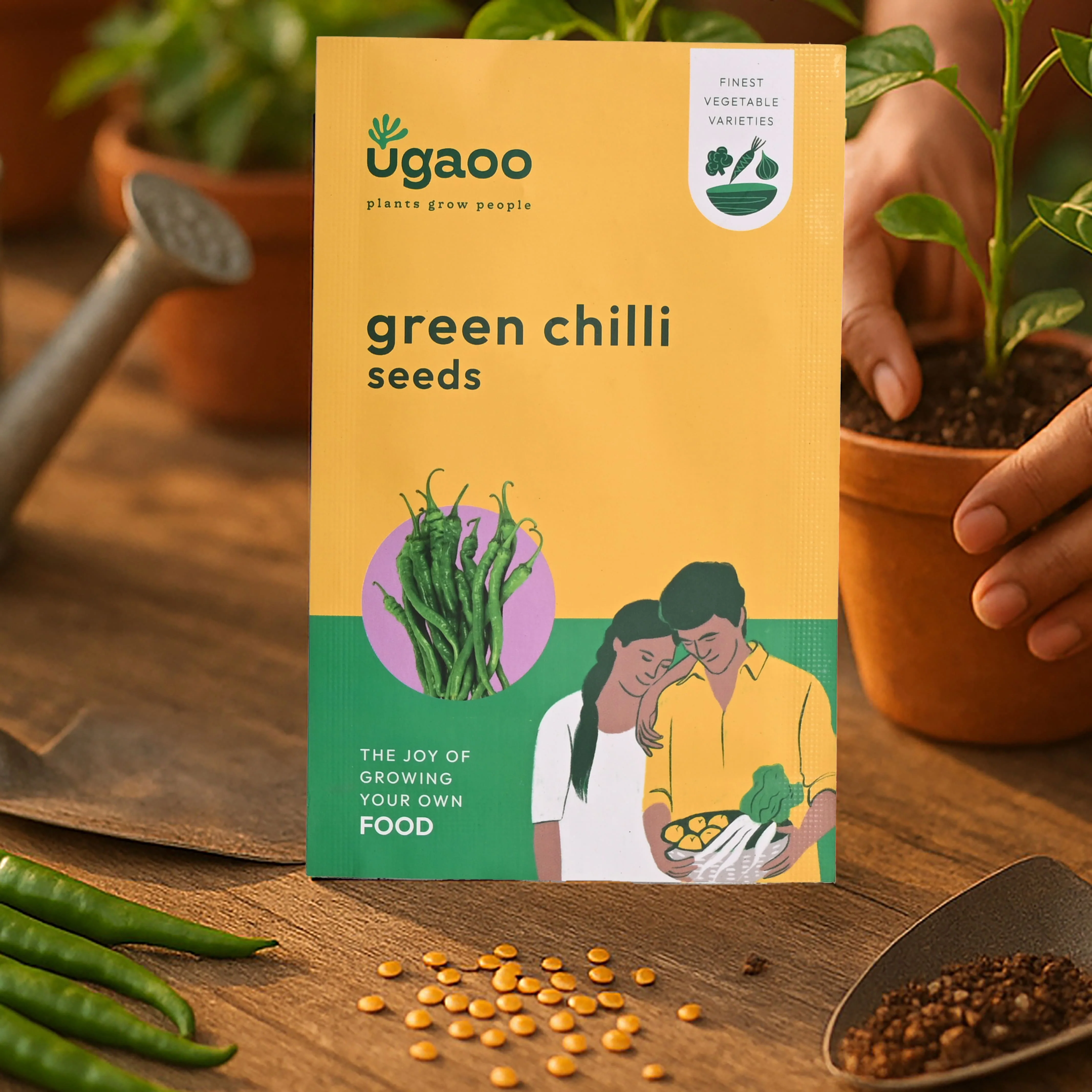 Green Chilli Seeds - Image 10