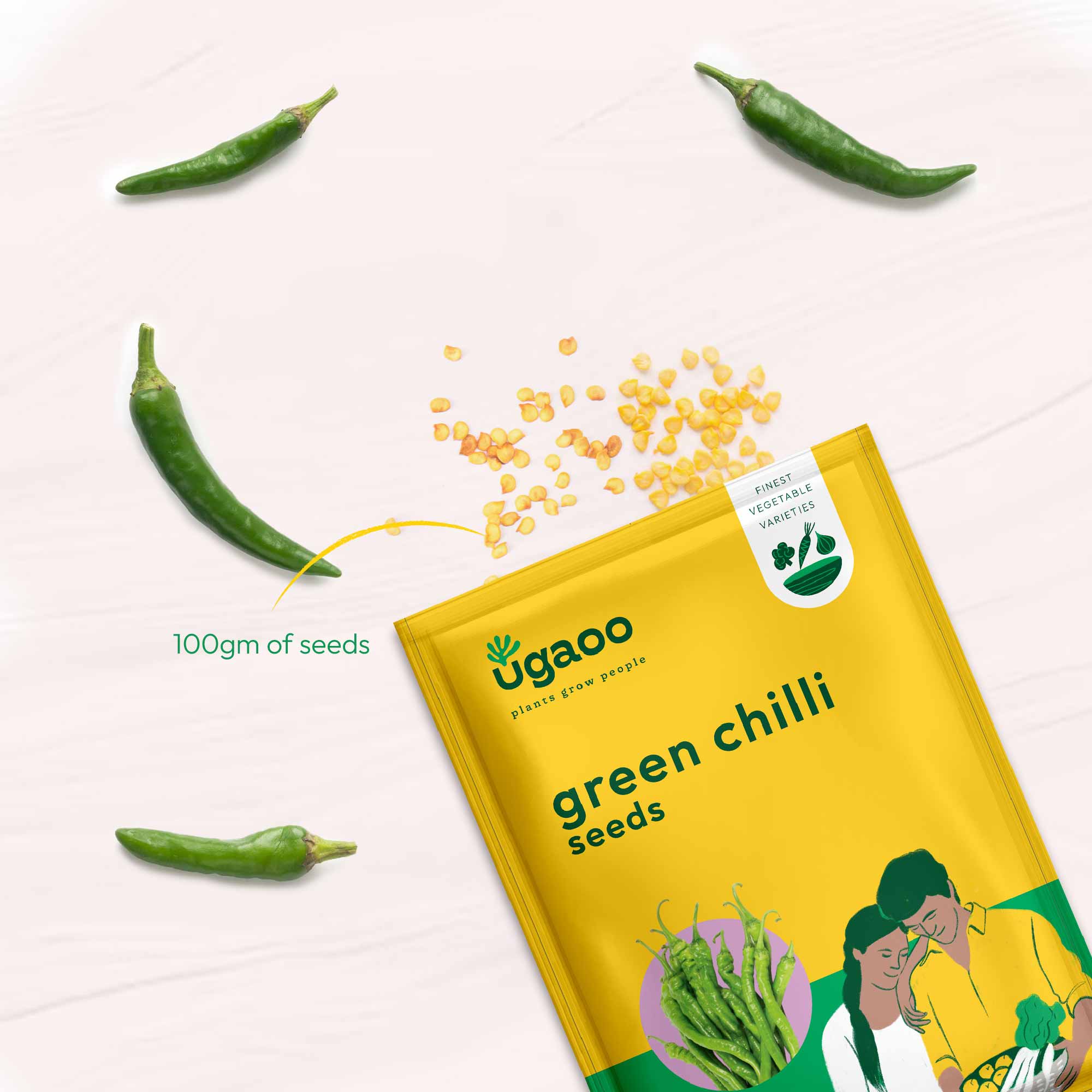 Green Chilli Seeds - Image 12