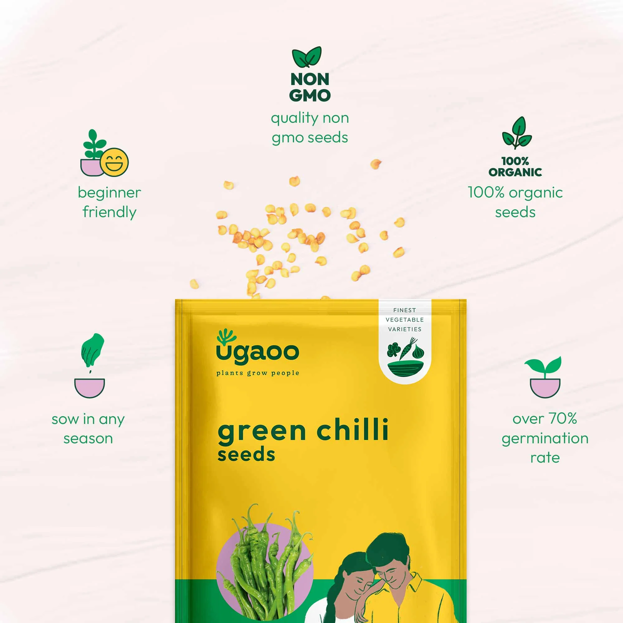 Green Chilli Seeds - Image 23