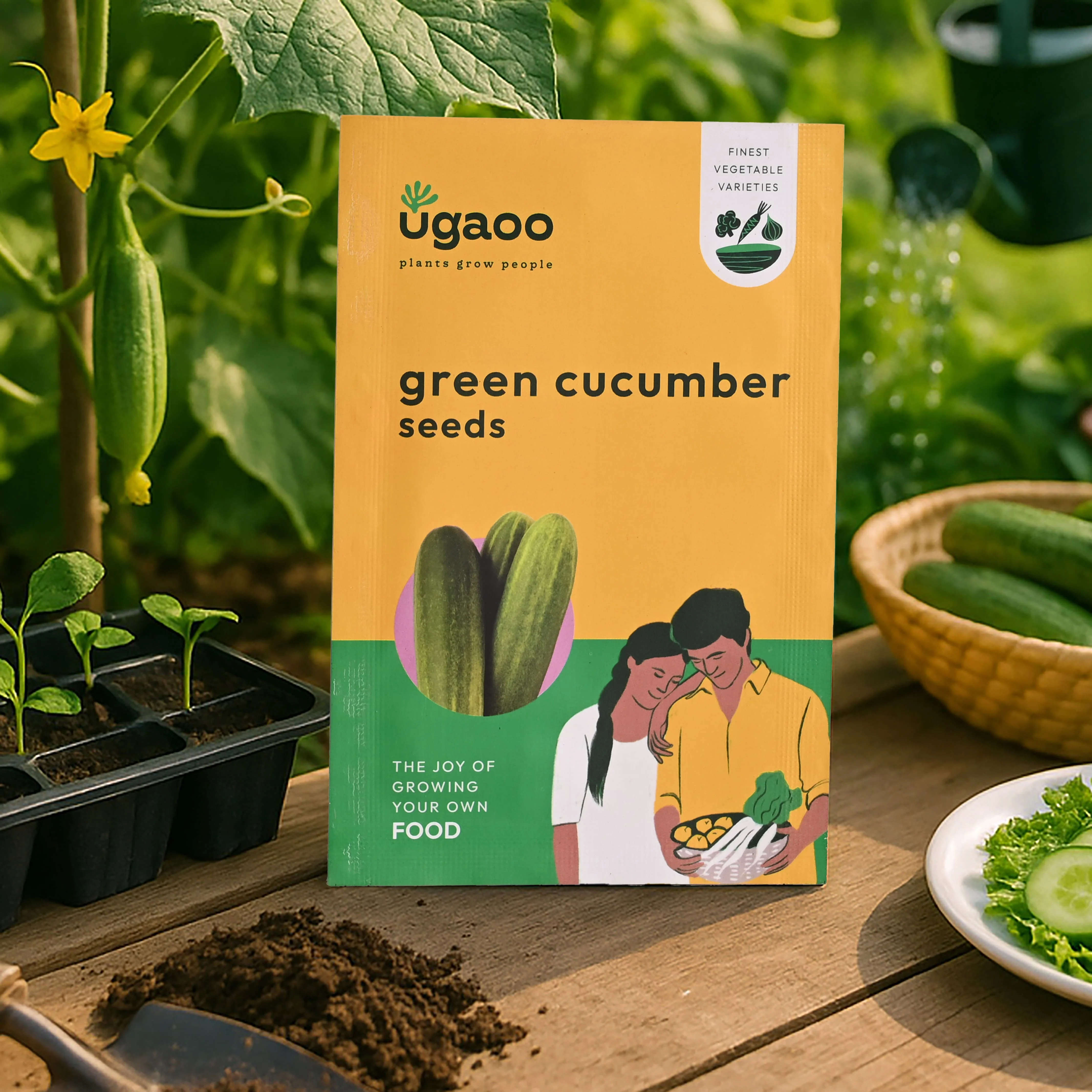 Green Cucumber Seeds (Long) - Image 10