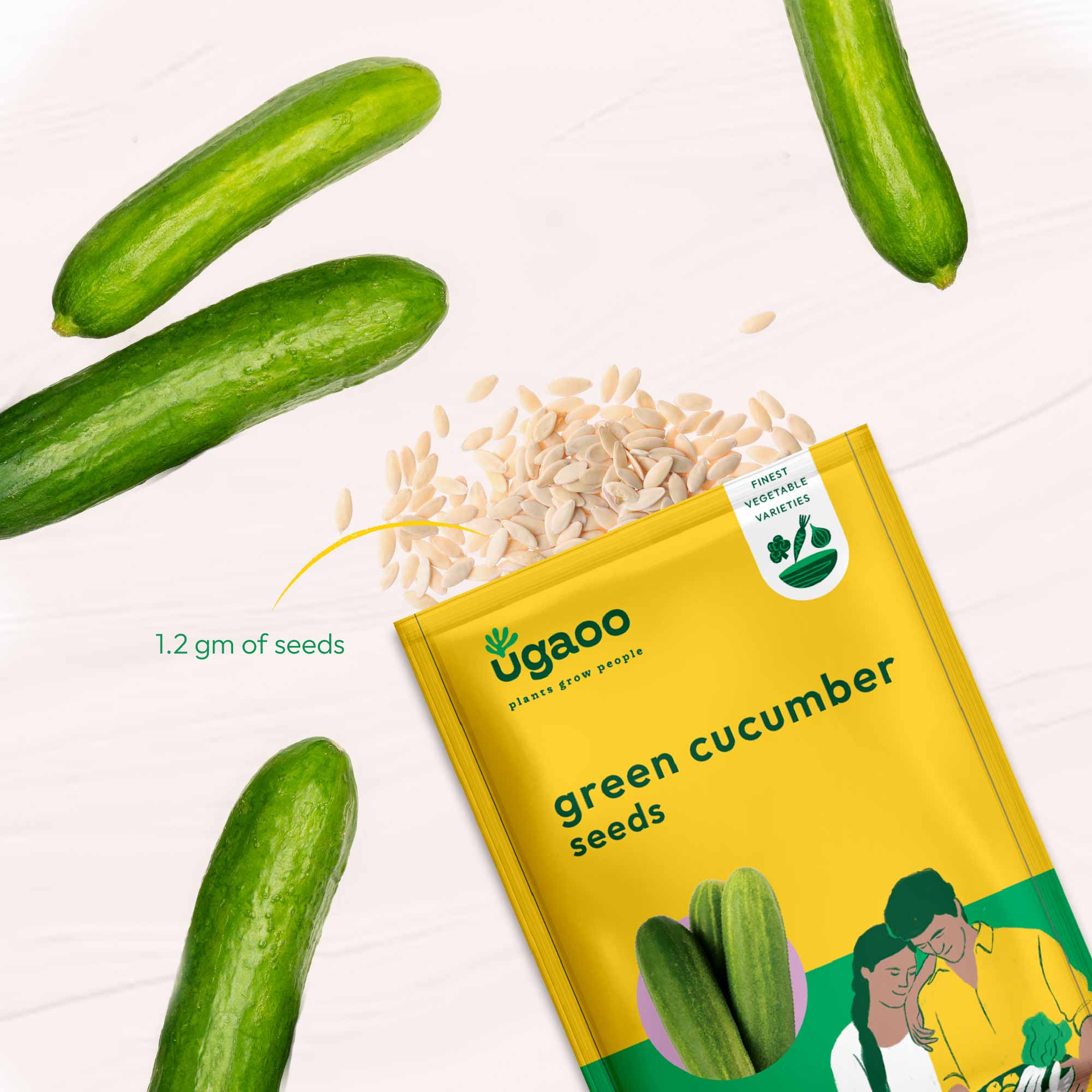 Green Cucumber Seeds (Long) - Image 3