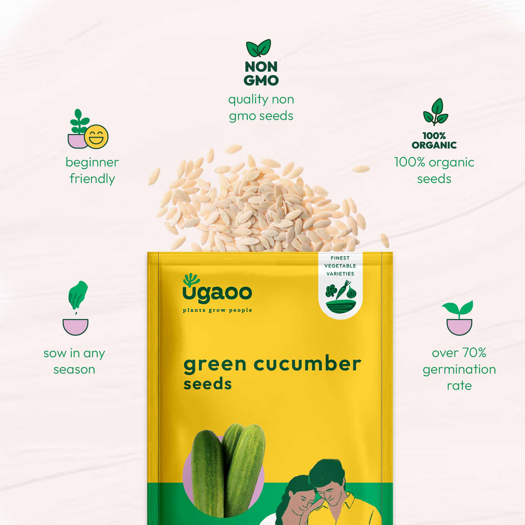 Green Cucumber Seeds (Long) - Image 6