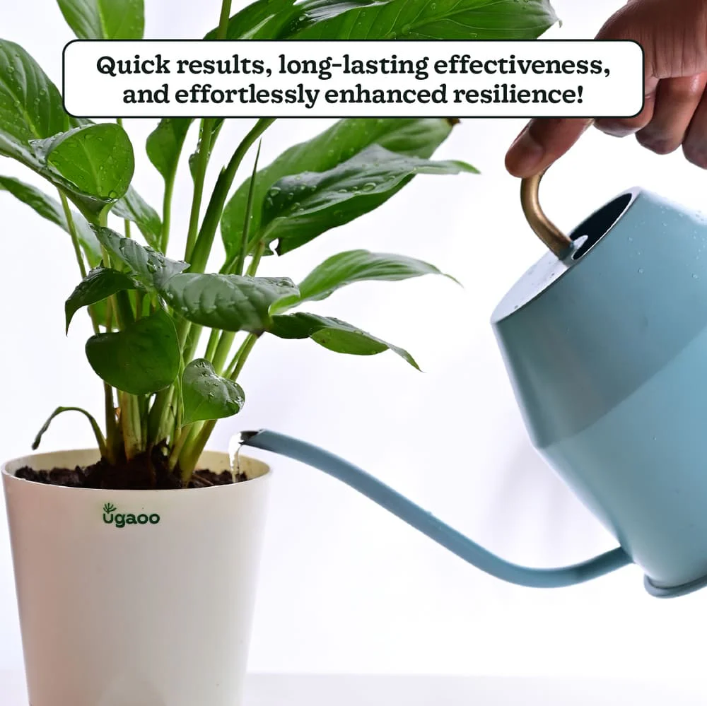 Grow TAB - Image 5