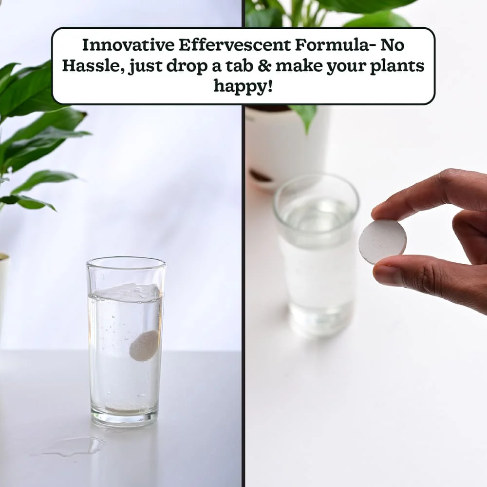 Grow TAB - Image 6