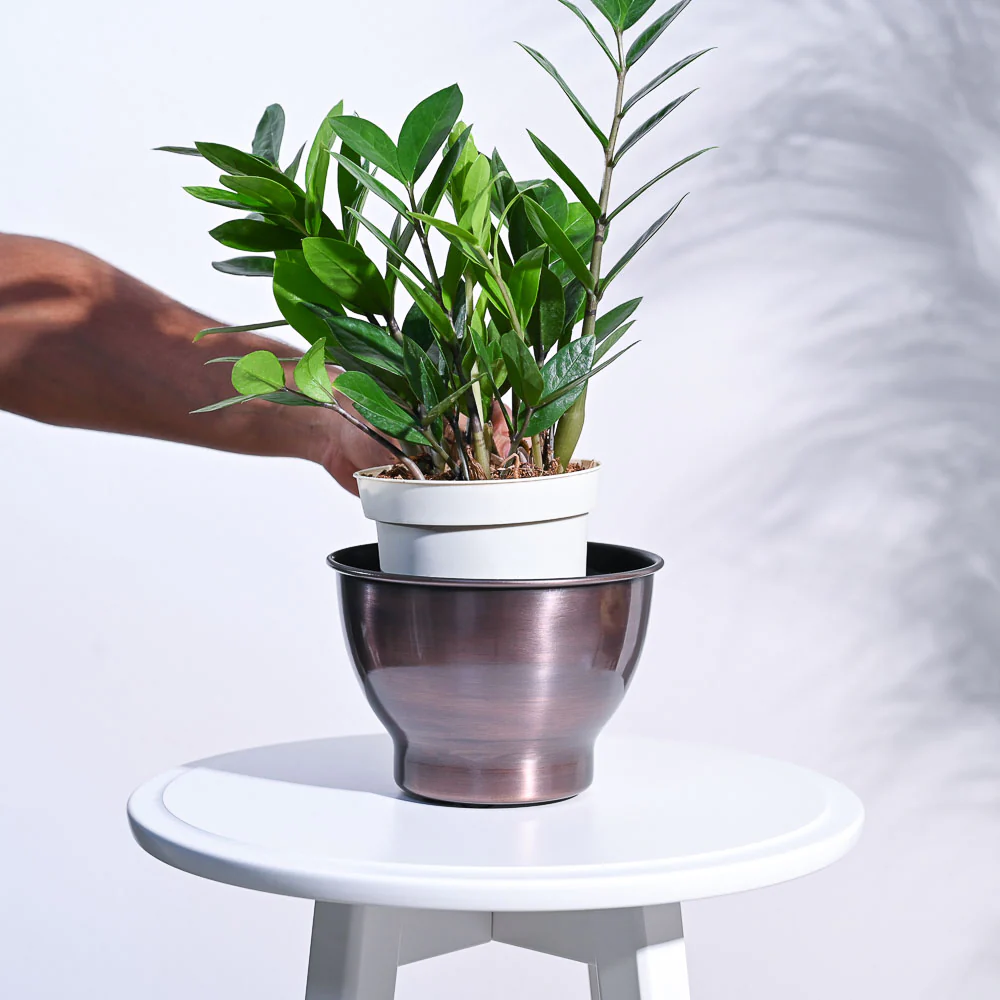Gunmetal Goblet Planter - Image 7