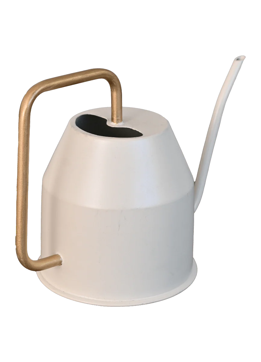 Haifoss Watering Can - Ivory & Gold - Image 3