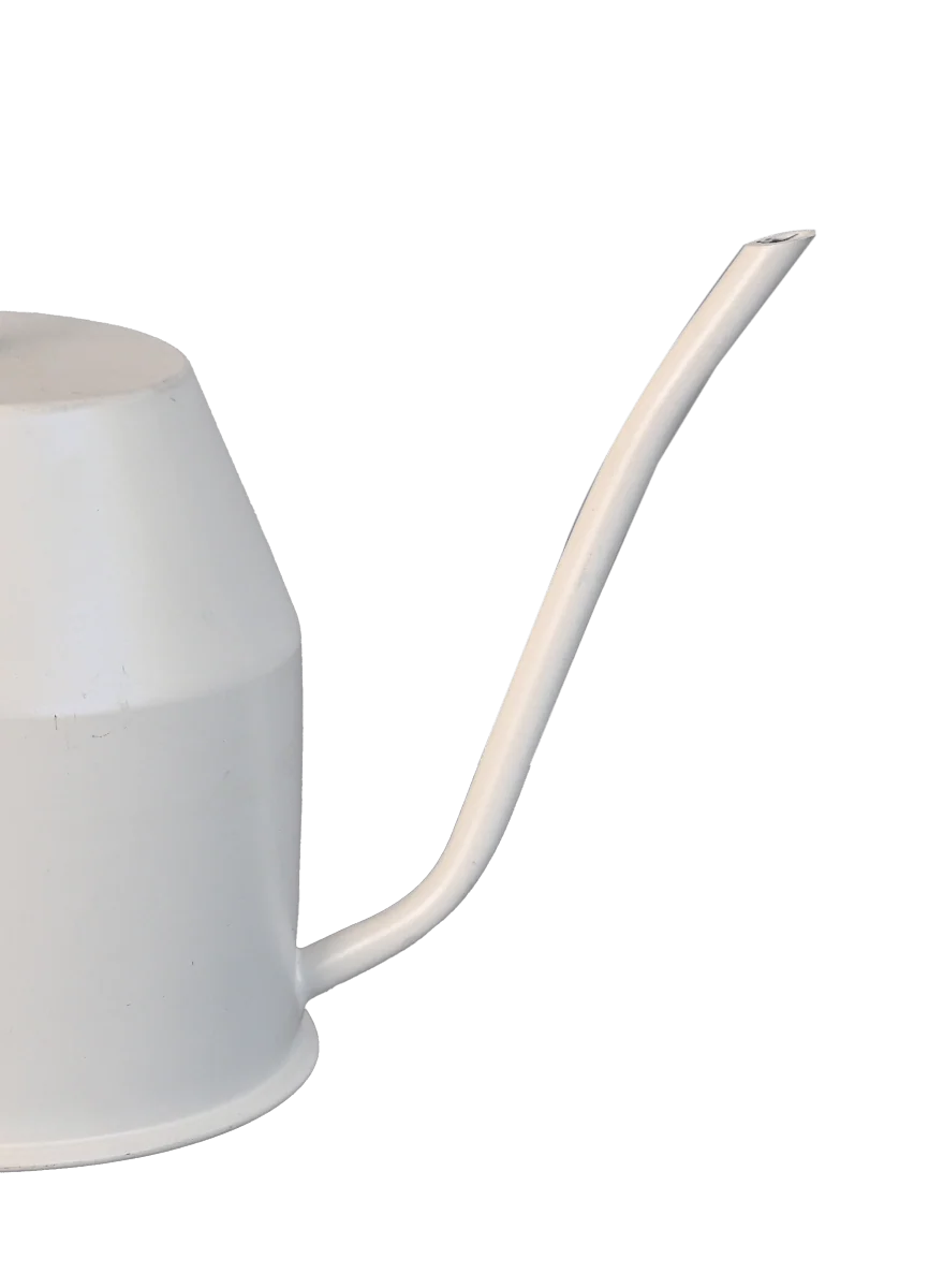 Haifoss Watering Can - Ivory & Gold - Image 6