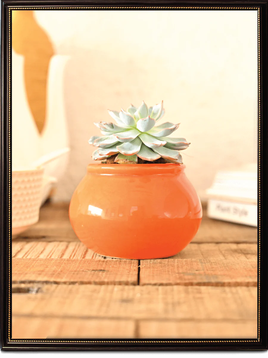 Handi Ceramic Pot (4 Inch Diameter) - Image 5
