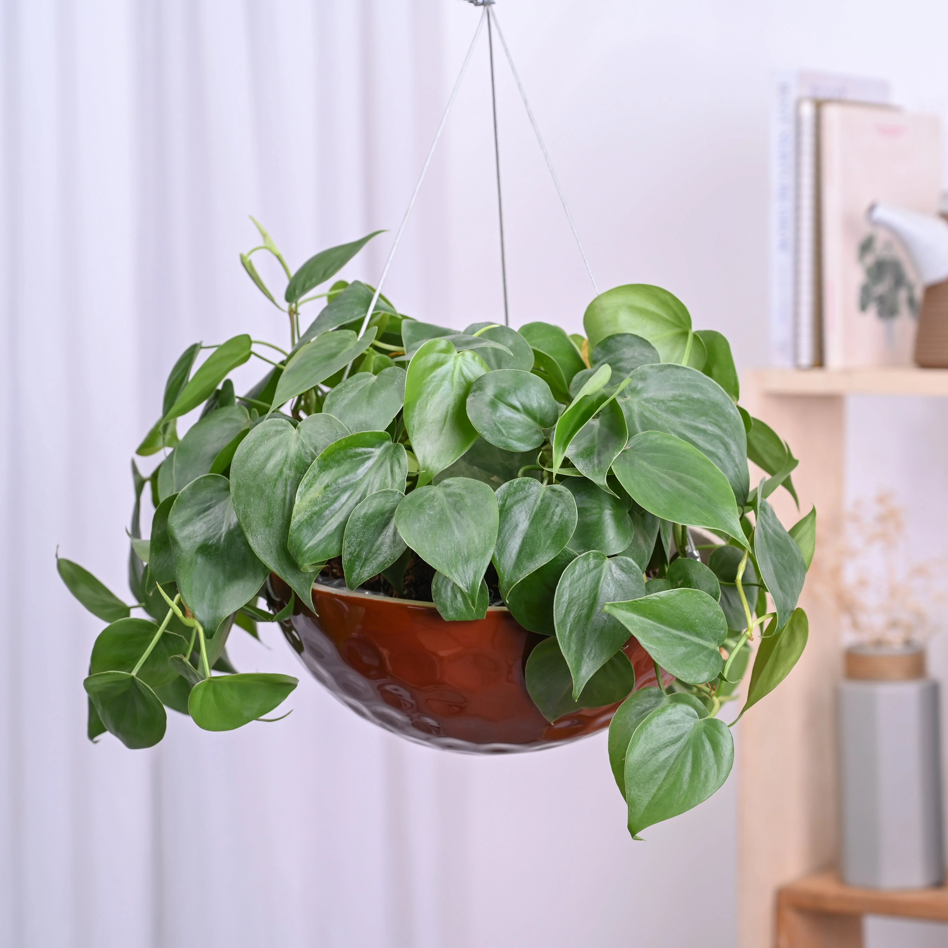 Hanging Ceramic Planters Petrichor Smite - Image 10