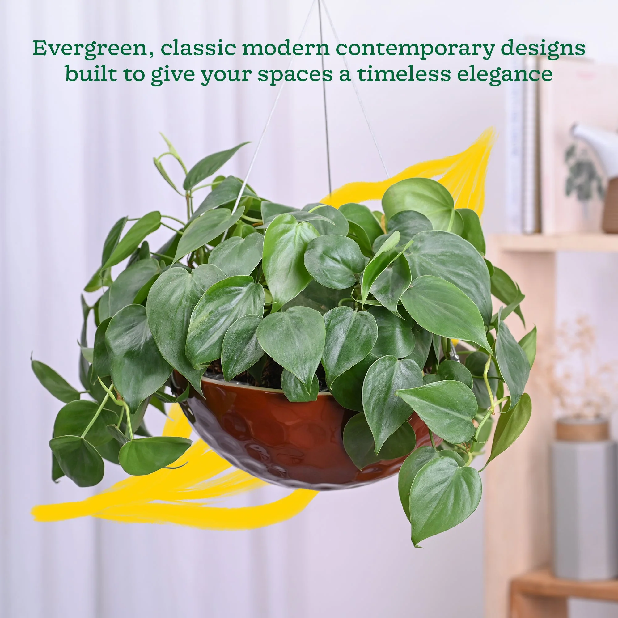 Hanging Ceramic Planters Petrichor Smite - Image 11