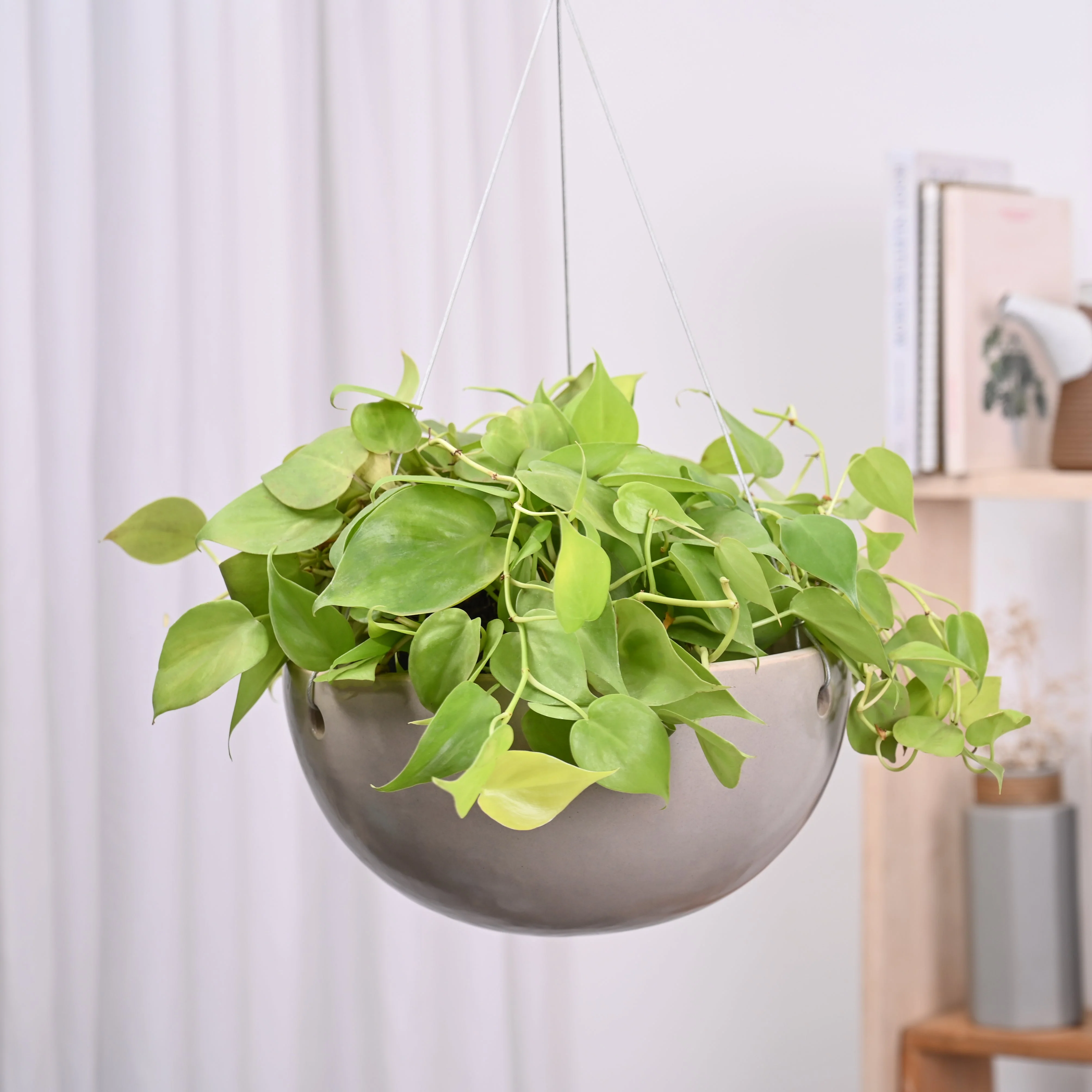 Hanging Ceramic Planters Petrichor Smite - Image 28