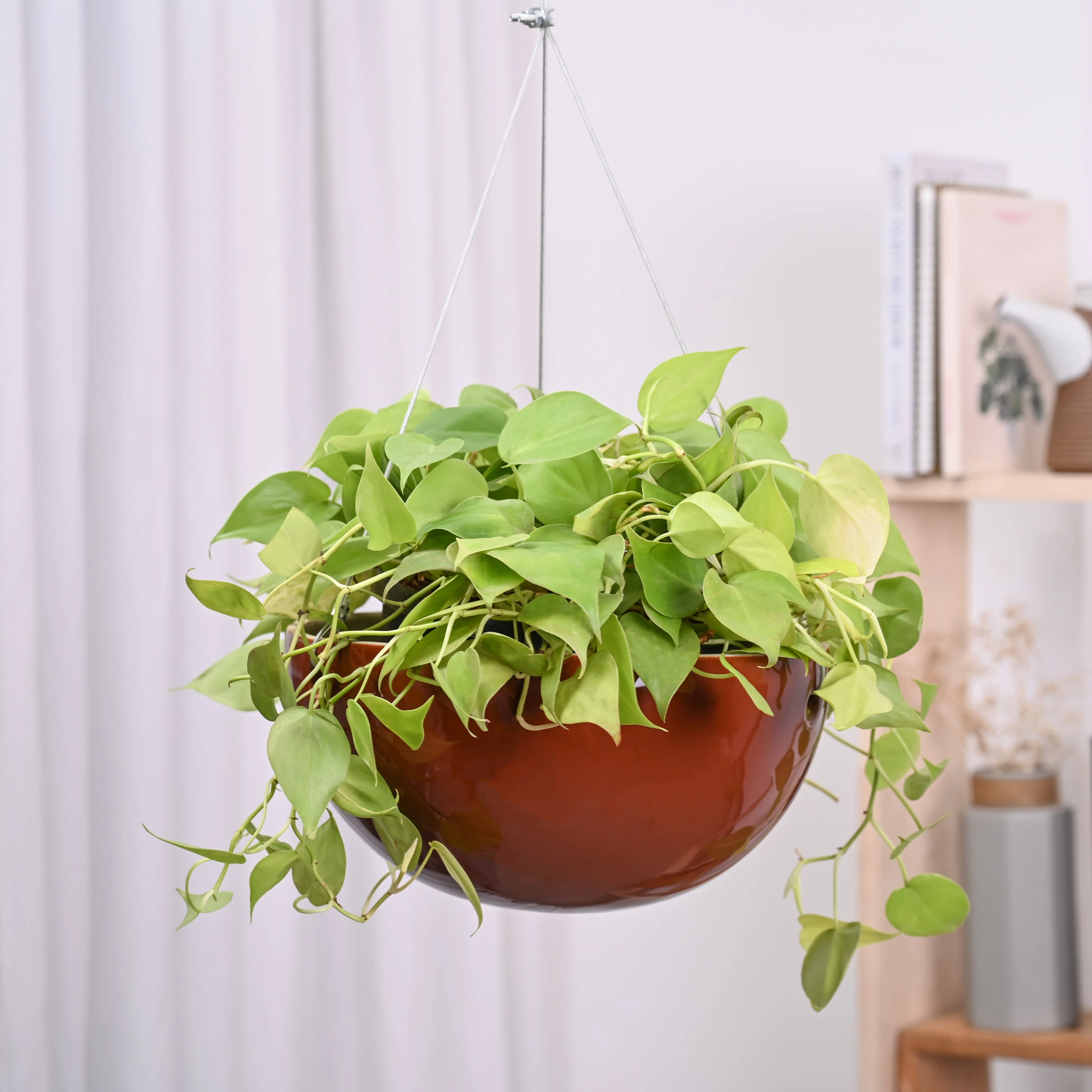 Hanging Ceramic Planters Petrichor Smite - Image 37