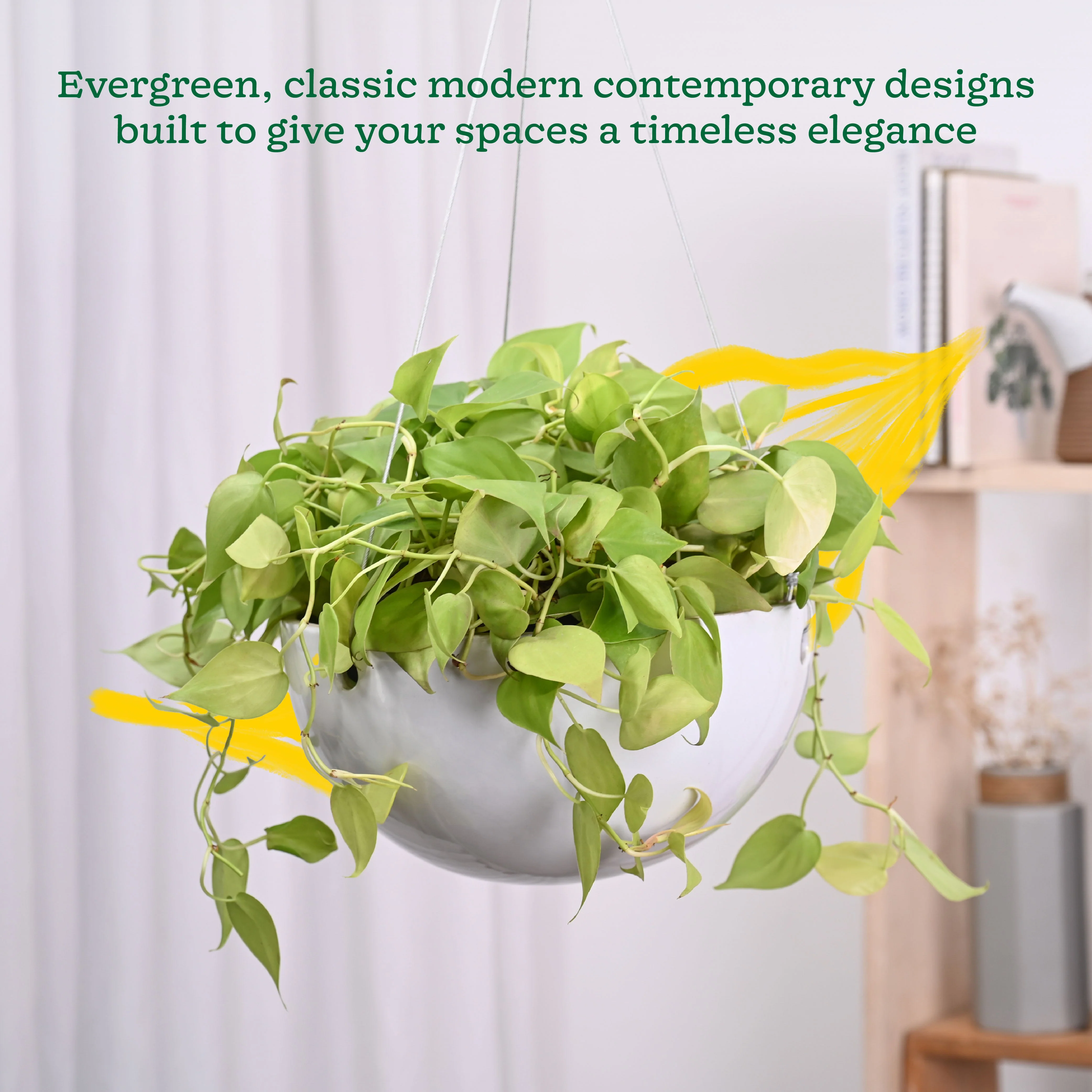 Hanging Ceramic Planters Petrichor Smite - Image 47