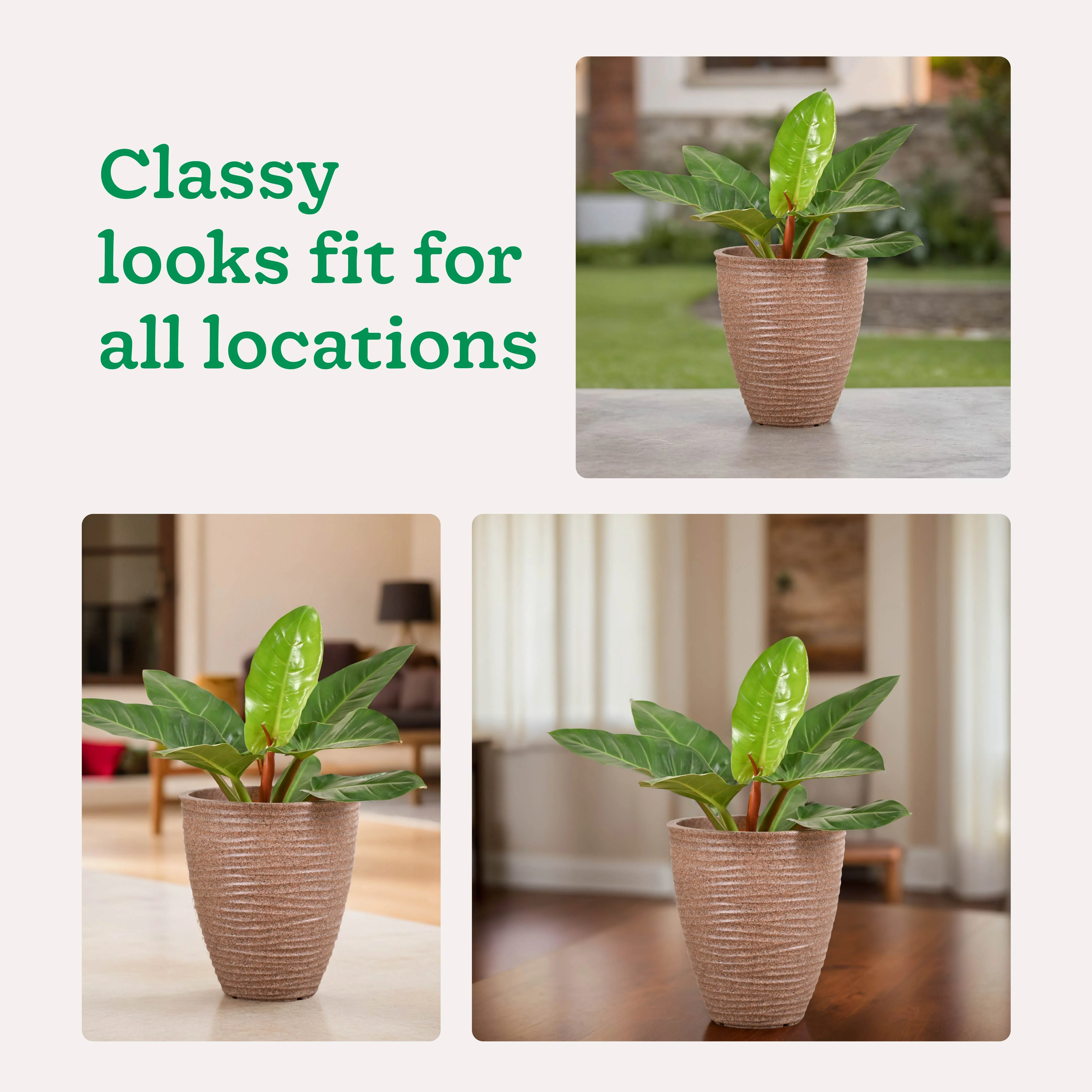 Havana Plastic Planter - Image 6