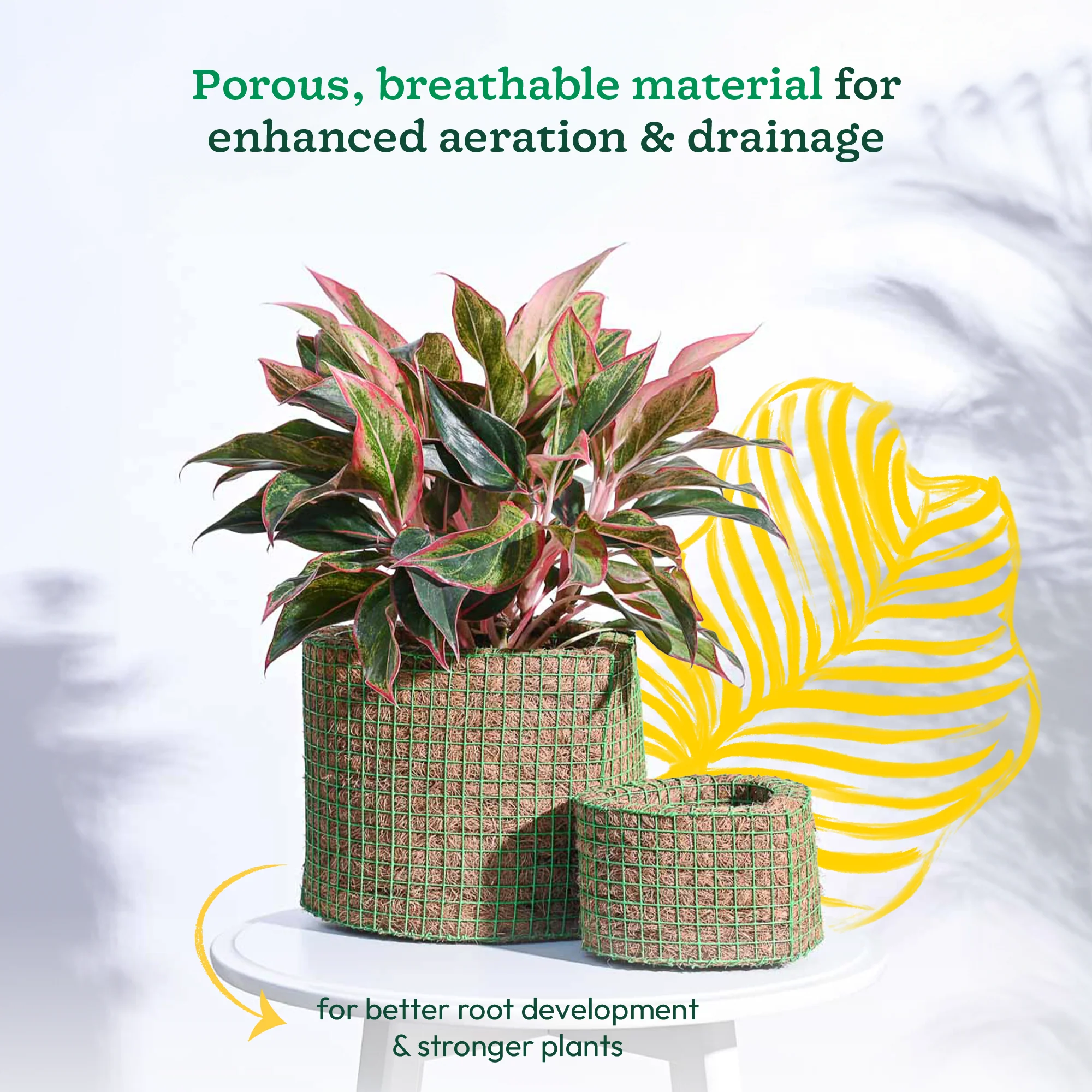 Heart Coir Planter - Set of 2 - Image 3